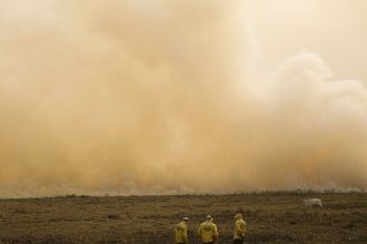 Governo quer plano de controle de desmatamento para todos os biomas