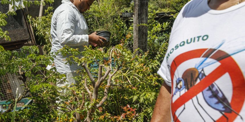 Brasil registra mais de 2 milhões de casos de dengue