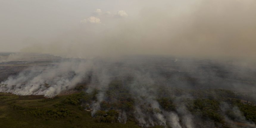 PL que muda Código Florestal vai desproteger 48 milhões de hectares