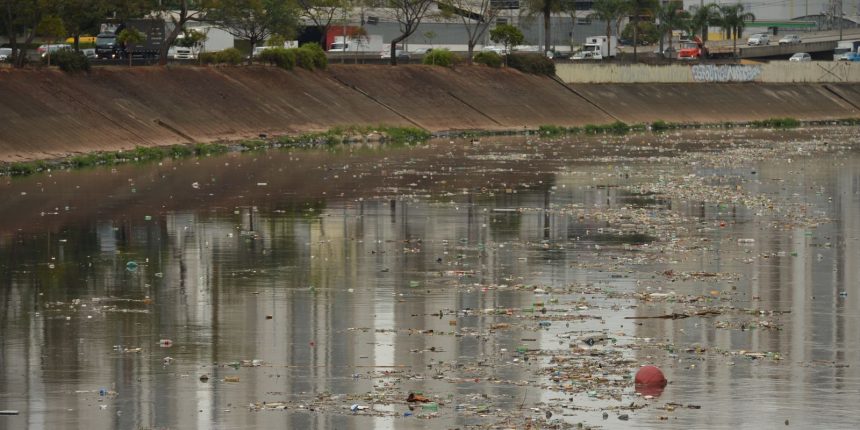 Qualidade da água na Mata Atlântica melhora, mas alerta persiste