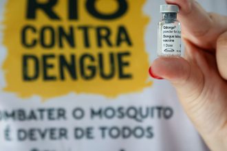 Rio de Janeiro confirma quinta morte por dengue