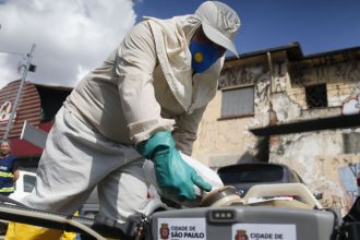 São Paulo anuncia ações de reforço no combate à dengue