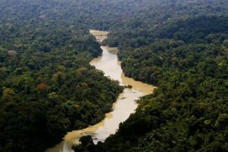 Brasil não trata meio ambiente com seriedade, diz promotor