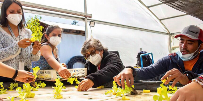 Chileno cria projeto para facilitar acessibilidade no campo