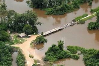 Polícia Federal destrói ponte em terra indígena no Pará