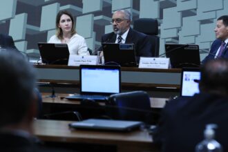 Comissão do Senado define sete projetos prioritários para o RS