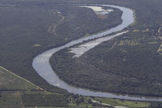 Mata Atlântica: desmatamento cai em áreas contínuas entre 2022 e 2023