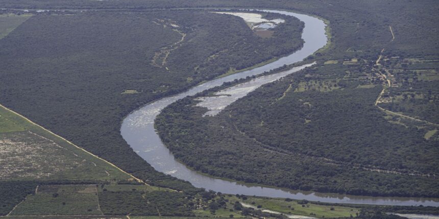 Mata Atlântica: desmatamento cai em áreas contínuas entre 2022 e 2023