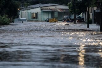 Rio Grande do Sul investiga mais de 800 casos de leptospirose