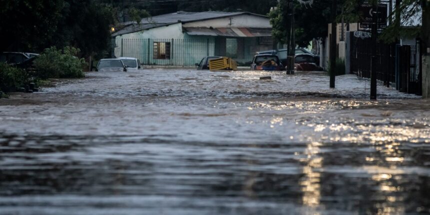 Rio Grande do Sul investiga mais de 800 casos de leptospirose