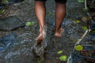 Aumenta no Rio Grande do Sul risco de doenças infecciosas