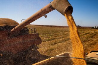 Brasil colherá 297,5 milhões de toneladas de grãos, estima a Conab