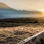 Cidades do Sul registram temperaturas negativas neste domingo