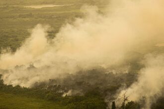 Com incêndios, Mato Grosso do Sul decreta situação de emergência