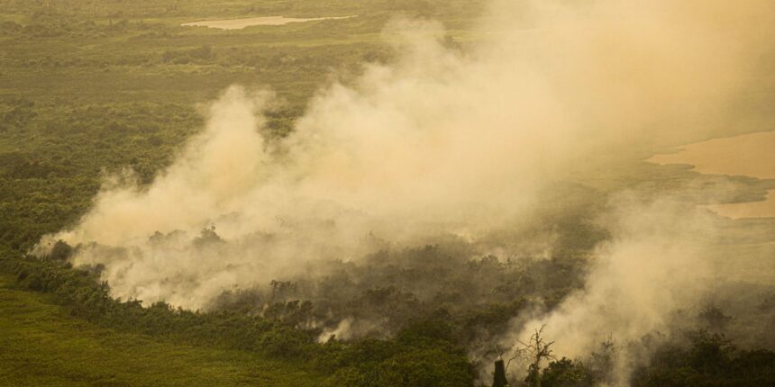 Com incêndios, Mato Grosso do Sul decreta situação de emergência