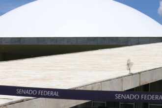 Comissão do Senado aprova tipificar crime de apologia à ditadura