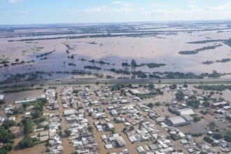 Hoje é Dia: Meio ambiente e oceanos marcam as celebrações da semana