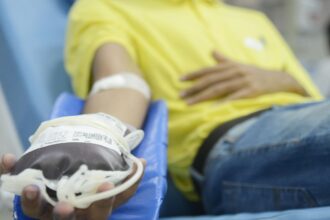 Hoje é Dia: semana marca doação de sangue, idosos e trabalho infantil