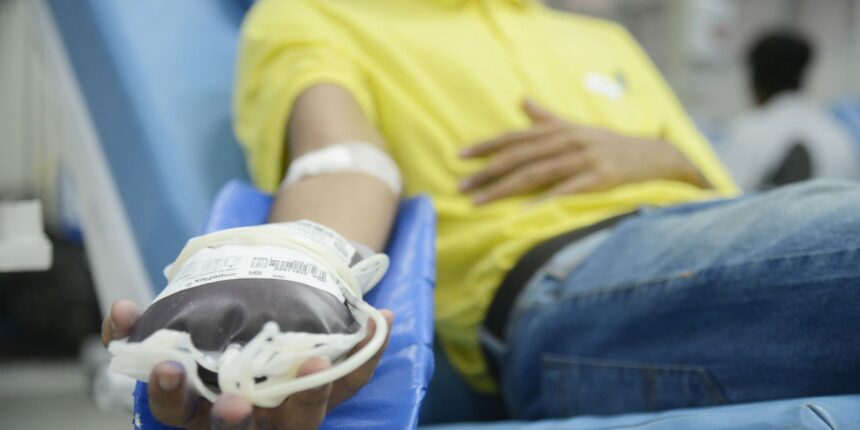 Hoje é Dia: semana marca doação de sangue, idosos e trabalho infantil