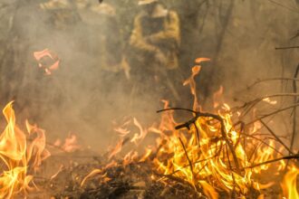 Combate a incêndios pode ser feito por pilotos e aviões estrangeiros 