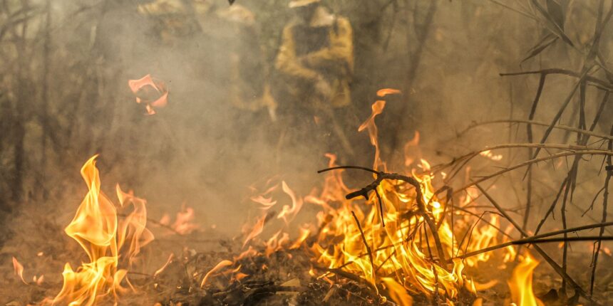 Combate a incêndios pode ser feito por pilotos e aviões estrangeiros 