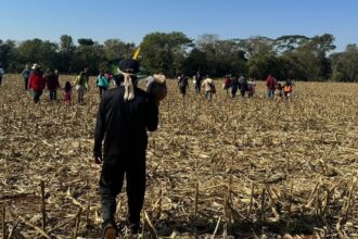 Comitiva federal visita áreas de conflitos indígenas em MS