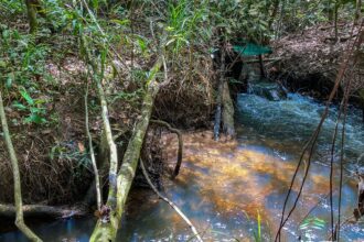 Estudo aponta impacto negativo de mudanças climáticas na agricultura