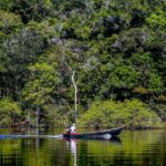 Hepatite Delta avança entre ribeirinhos no Amazonas