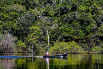 Hepatite Delta avança entre ribeirinhos no Amazonas