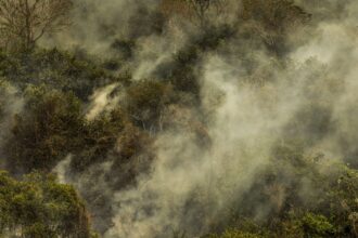 Incêndios podem ter degradado 9% do Pantanal nos últimos cinco anos