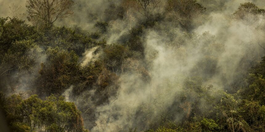 Incêndios podem ter degradado 9% do Pantanal nos últimos cinco anos