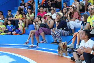 Torcida diz que futebol feminino precisa melhorar para chegar ao ouro