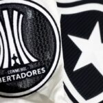 Botafogo irá banir torcedor que cometeu racismo contra Palmeiras