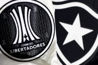 Botafogo irá banir torcedor que cometeu racismo contra Palmeiras