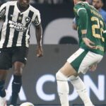 Botafogo recebe Palmeiras no primeiro jogo das oitavas da Libertadores