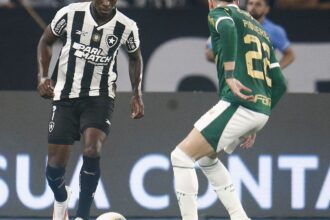 Botafogo recebe Palmeiras no primeiro jogo das oitavas da Libertadores