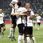 Botafogo segura empate com Palmeiras e avança na Copa Libertadores