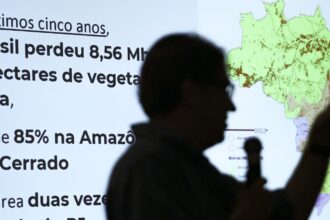 Brasil já perdeu 33% das áreas naturais de seu território