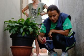 Brasil se aproxima de 5 mil mortes por dengue em 2024