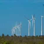 Nordeste tem segundo recorde consecutivo de geração de energia eólica