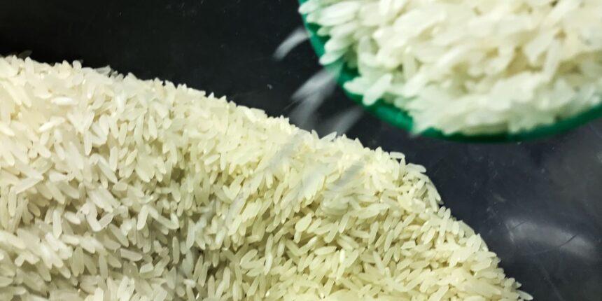 Conab vai doar sementes de arroz para agricultores familiares do RS