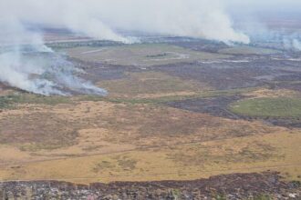 Emissão de gases por incêndios é recorde em dois estados