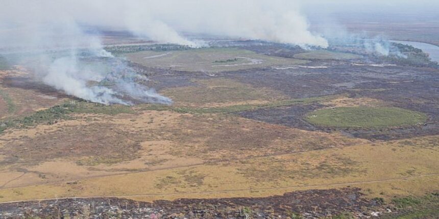 Emissão de gases por incêndios é recorde em dois estados