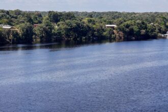 Hoje é Dia: Amazônia, mulher indígena e independência são destaques