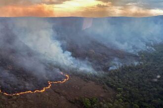 Incêndio queima 10 mil hectares do Parque da Chapada dos Veadeiros