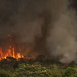 Incêndios podem ter afetado mais de 11 milhões de pessoas no Brasil