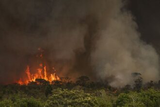 Incêndios podem ter afetado mais de 11 milhões de pessoas no Brasil