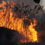 MPF aciona justiça para contratação de brigadistas contra incêndios