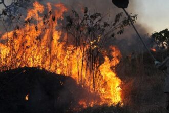 MPF aciona justiça para contratação de brigadistas contra incêndios