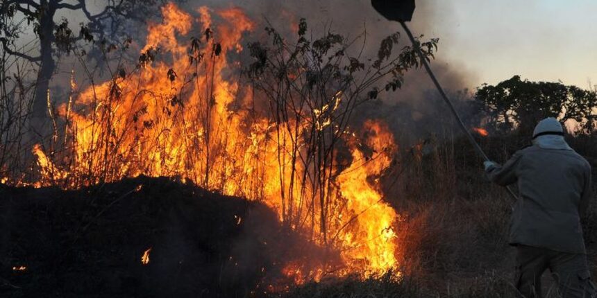 MPF aciona justiça para contratação de brigadistas contra incêndios